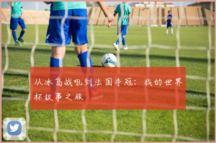 从冰岛战吼到法国夺冠：我的世界杯故事之旅
