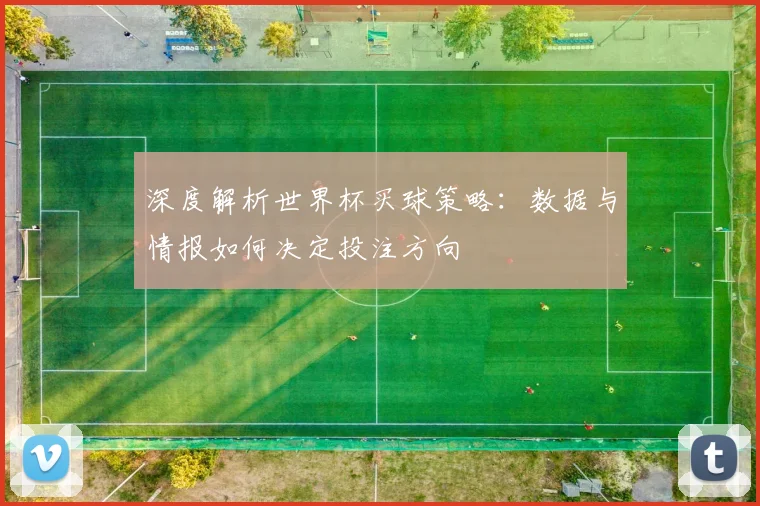 深度解析世界杯买球策略：数据与情报如何决定投注方向
