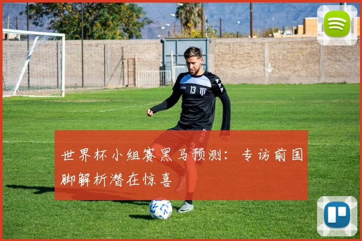 世界杯小组赛黑马预测:专访前国脚解析潜在惊喜