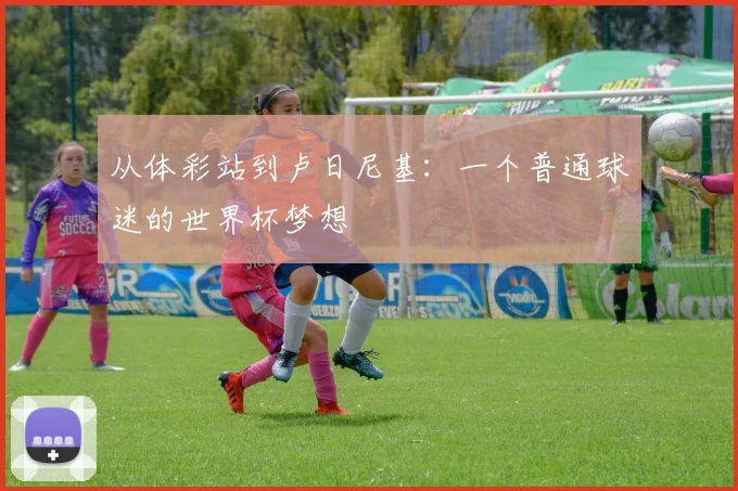 从体彩站到卢日尼基：一个普通球迷的世界杯梦想