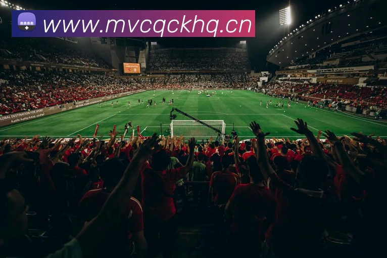 未来规划